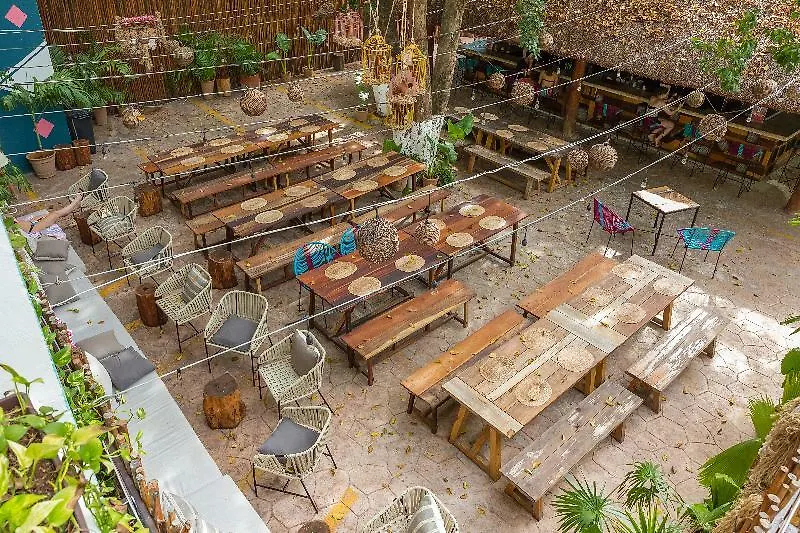 Selina Playa Del Carmen Hostel Mexico