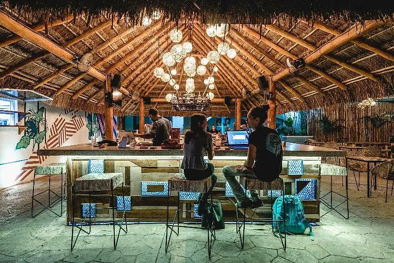 Selina Playa Del Carmen Hostel