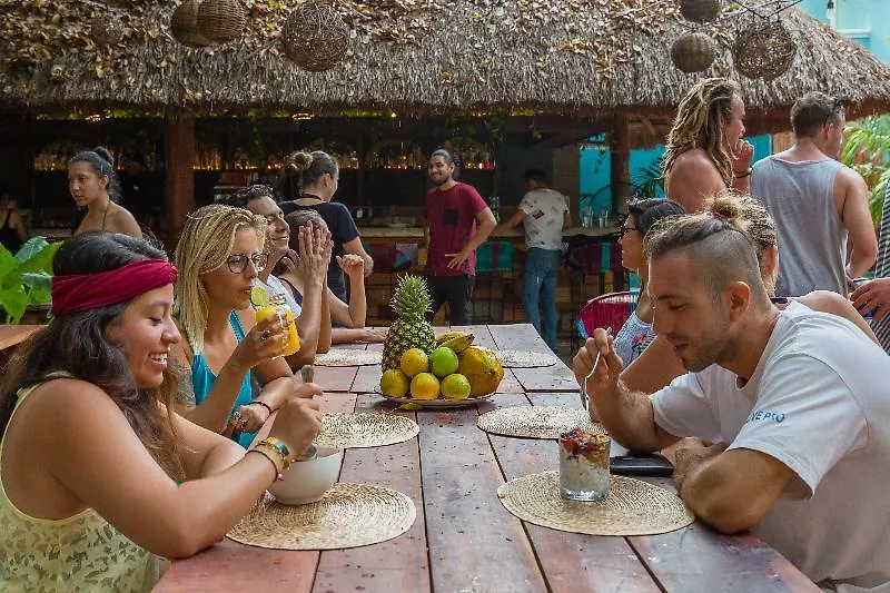 Selina Playa Del Carmen Hostel