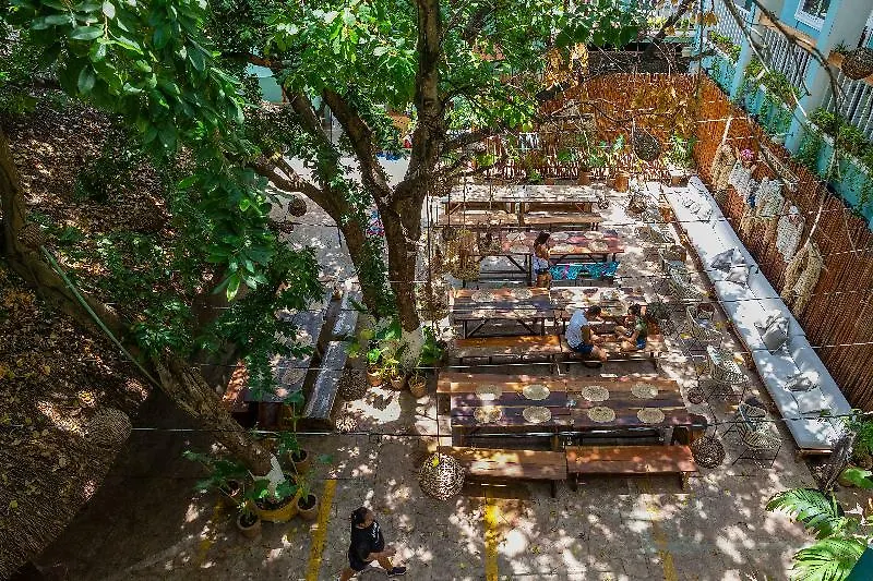 Selina Playa Del Carmen Hostel