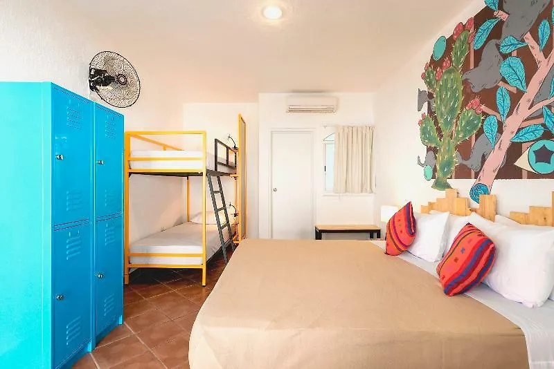 Selina Playa Del Carmen Hostel Mexico